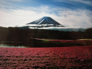 富士2.jpg