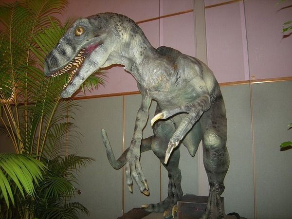 恐竜展②.jpg