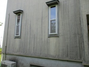 IMG_0987.jpg