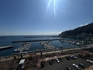 IMG_7238.JPG